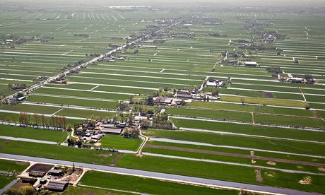 Netherlands-Kamerik-Farms-011