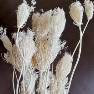 Bleached Product 1