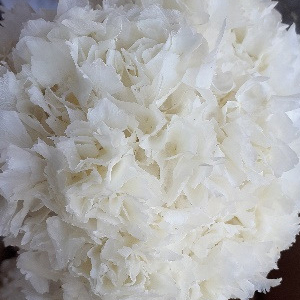 Bleached Product 3