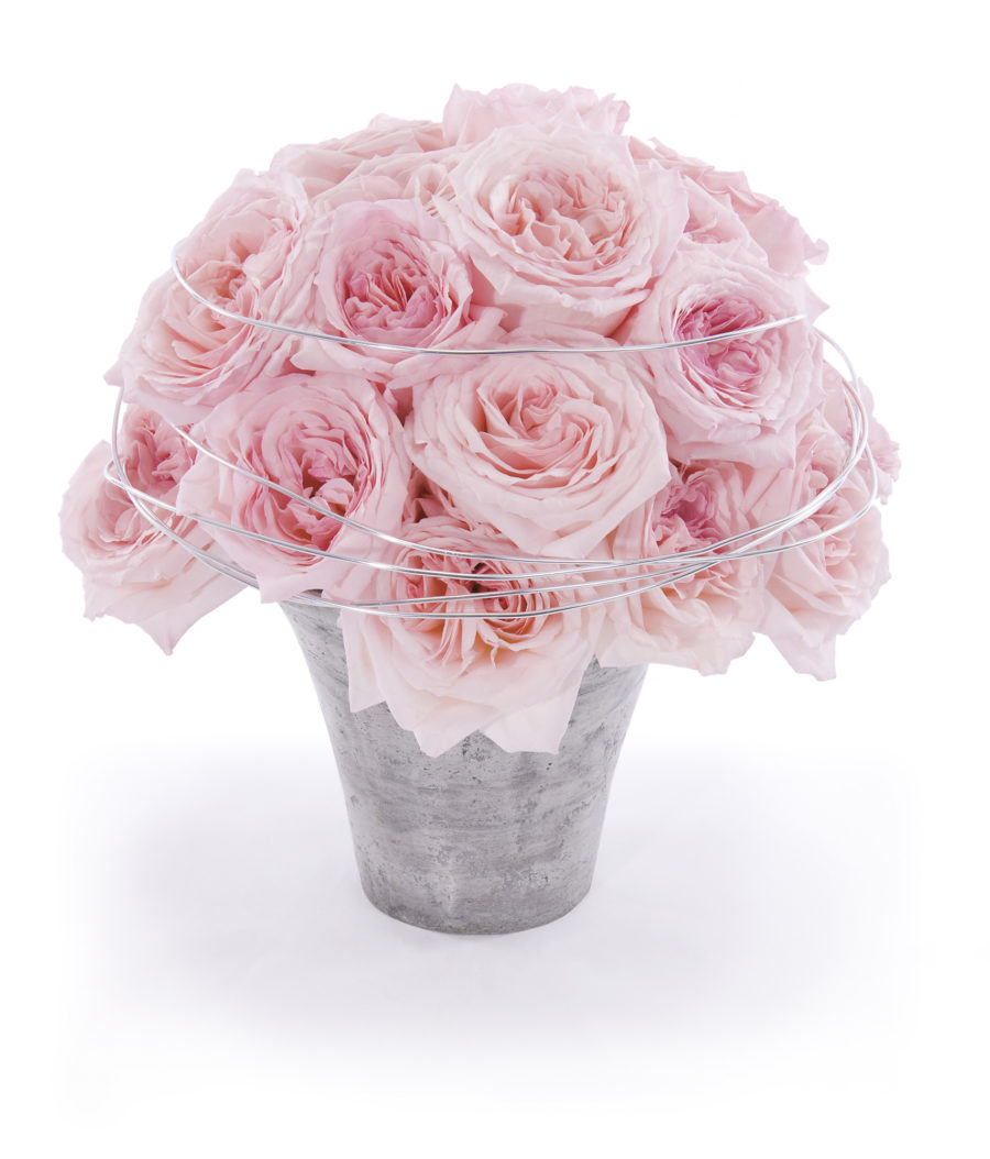 Pink O'Hara - Image 8