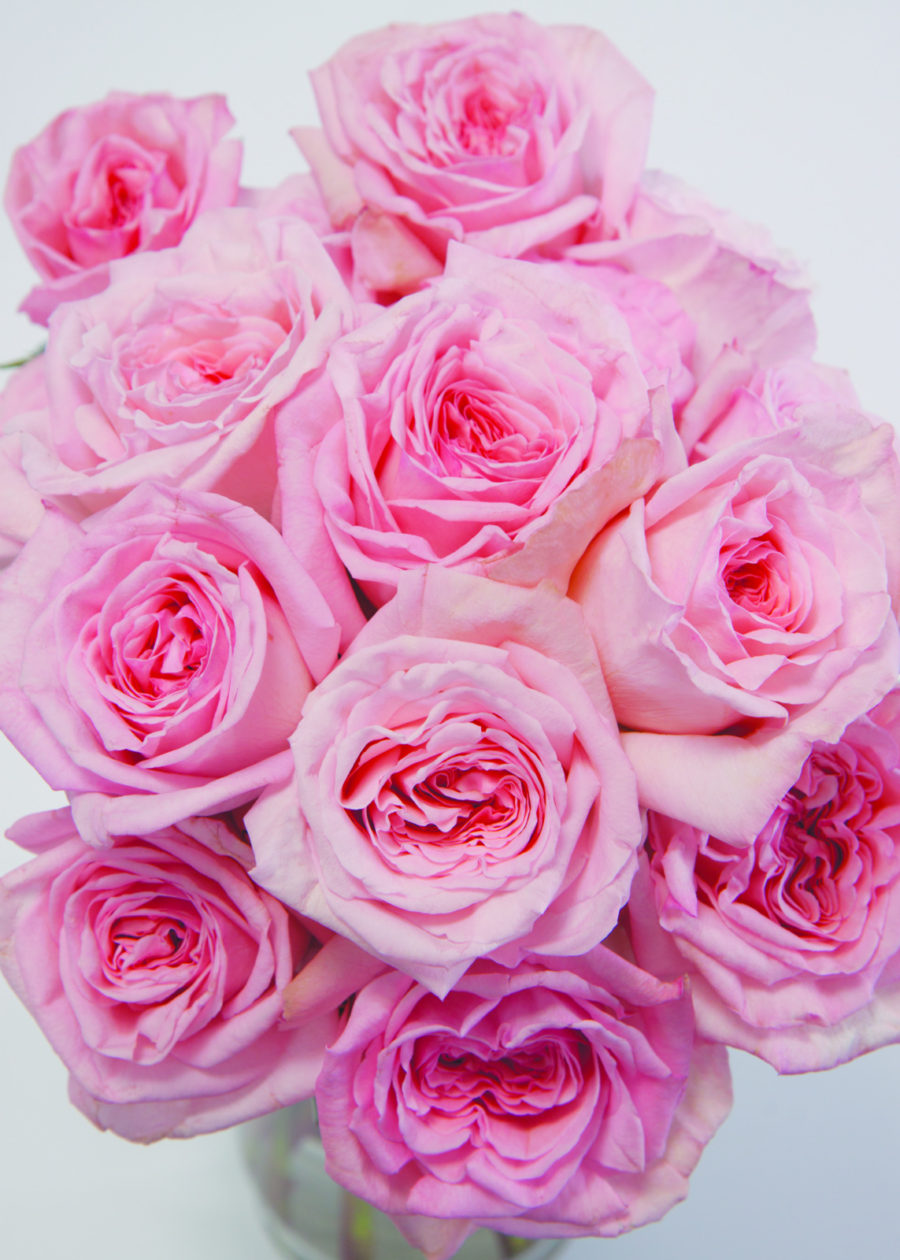 Pink O'Hara - Image 7