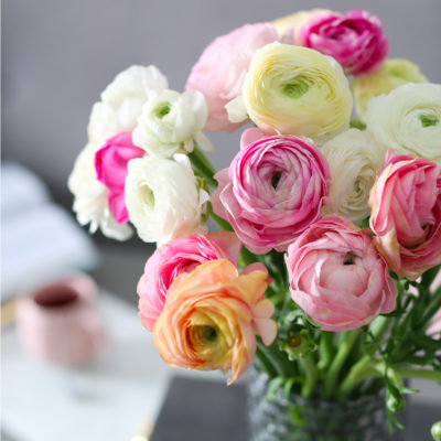 Ranunculus